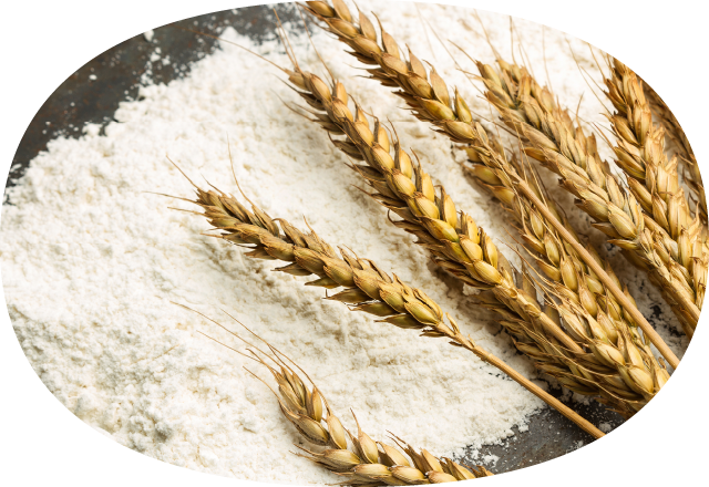 ドイツ産 有機古代（スペルト）小麦